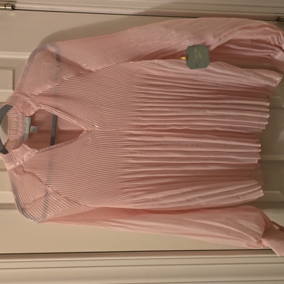 RYEGRASS BRAND WOMEN'S PINK BLOUSE TOP SIZE SMALL - Picture 2 of 16